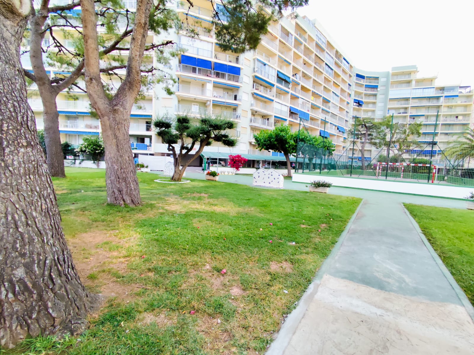 Foto de los apartamentos turísticos Oromar, de Milion Destiny, en Oropesa del Mar, Castellón.